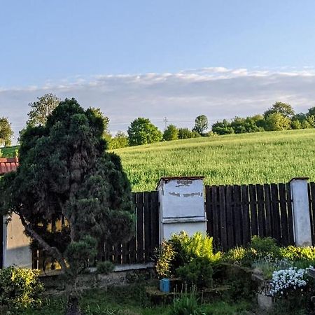 Chalupa u rybníka Střehom Dolní Bousov Exterior foto