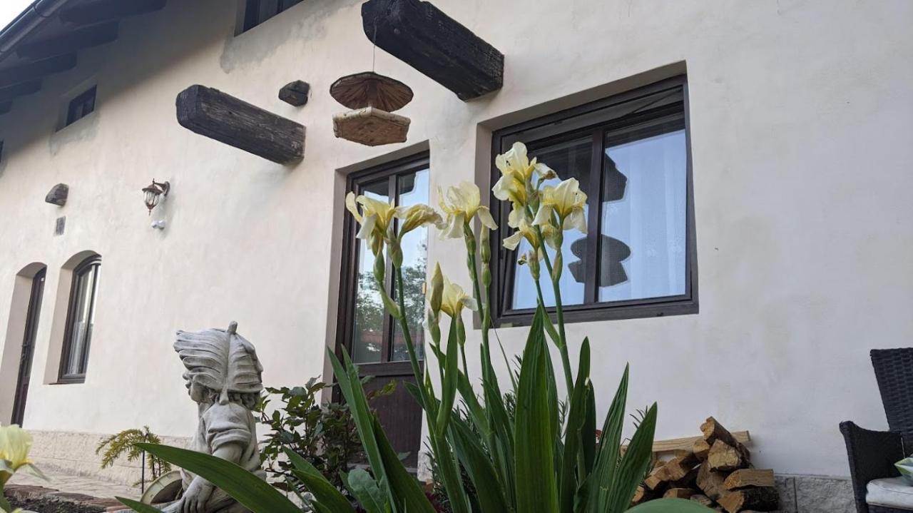 Chalupa u rybníka Střehom Dolní Bousov Exterior foto