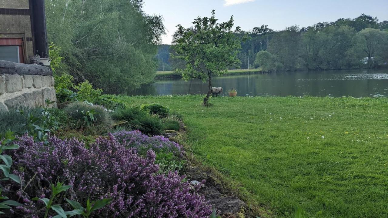 Chalupa u rybníka Střehom Dolní Bousov Exterior foto