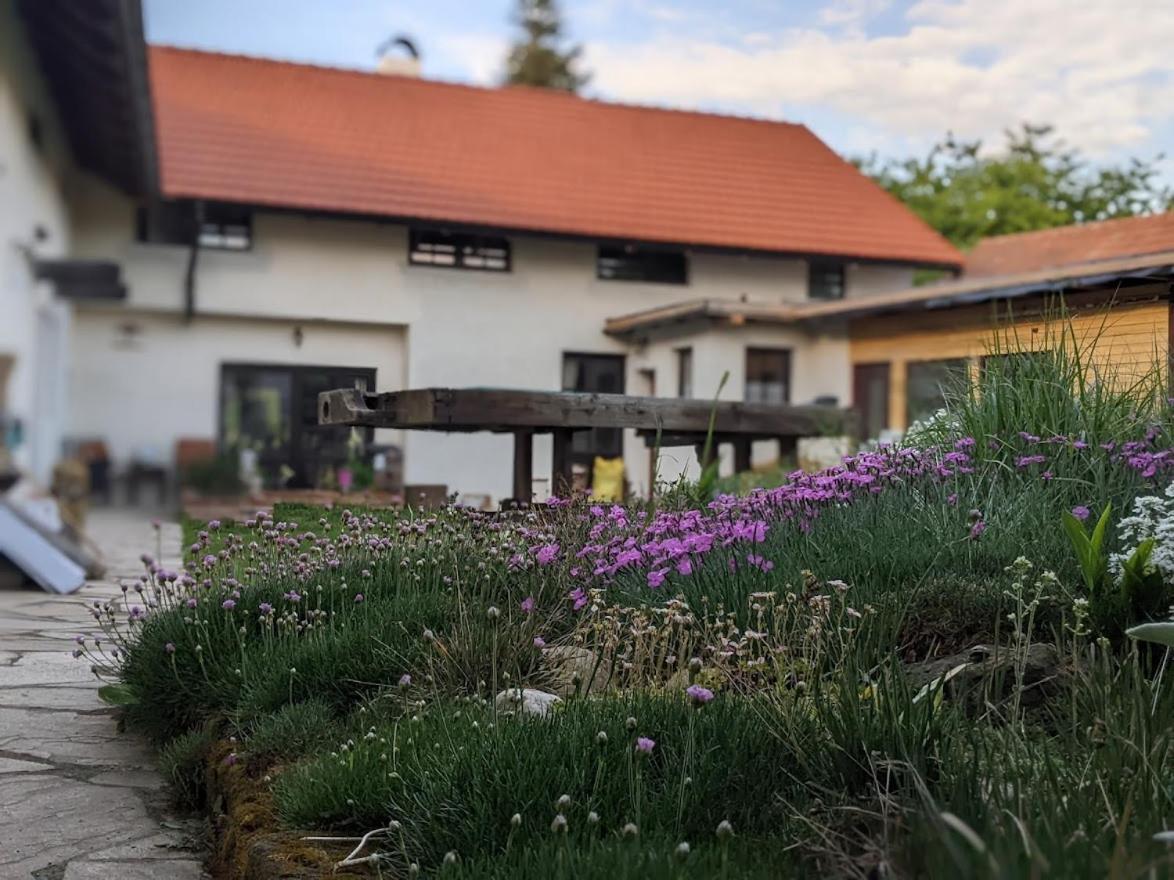 Chalupa u rybníka Střehom Dolní Bousov Exterior foto